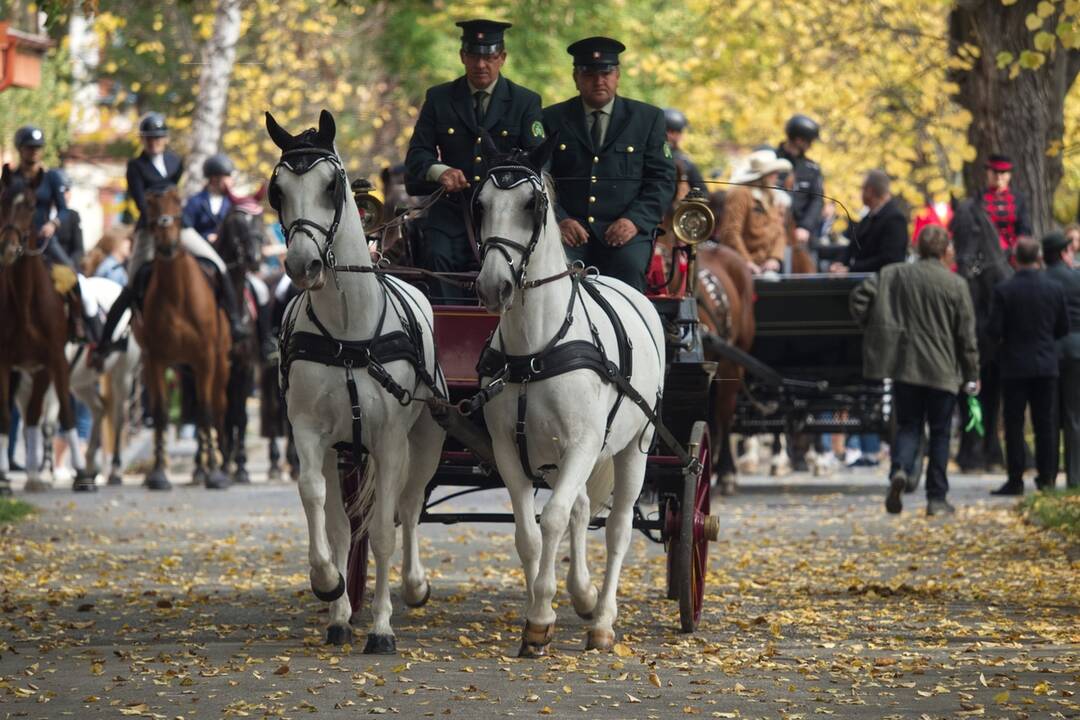 FOTO: Hubertova jazda je po roku späť. Ako vyzerala v predošlých rokoch?, foto 23