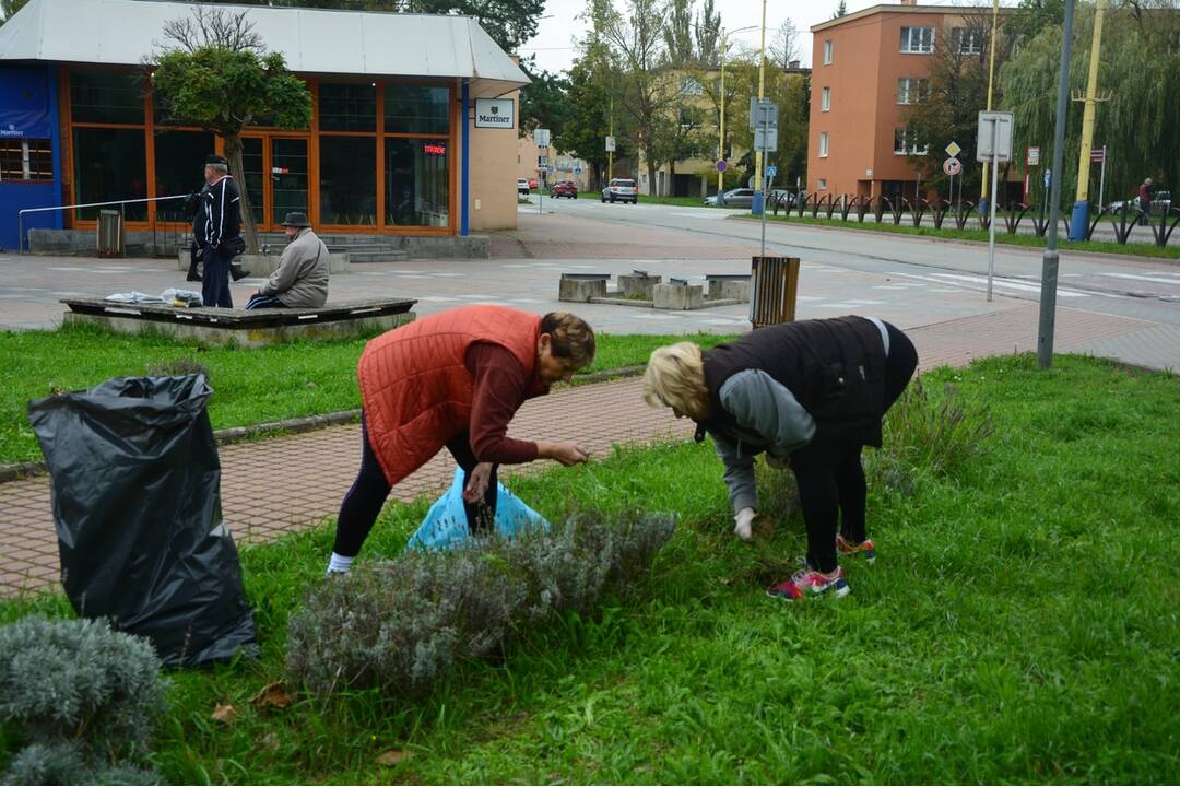 FOTO: Seniori zo Šaci zveľadili námestie, foto 6