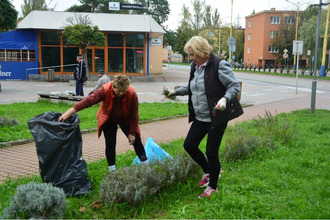 FOTO: Seniori zo Šaci zveľadili námestie, foto 10