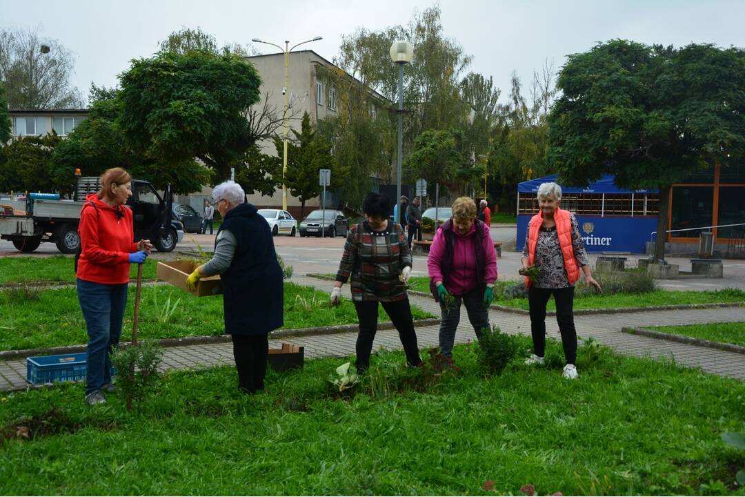 FOTO: Seniori zo Šaci zveľadili námestie, foto 7