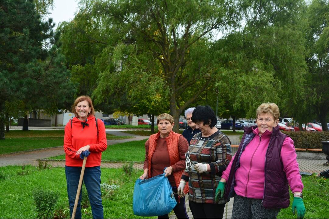 FOTO: Seniori zo Šaci zveľadili námestie, foto 4