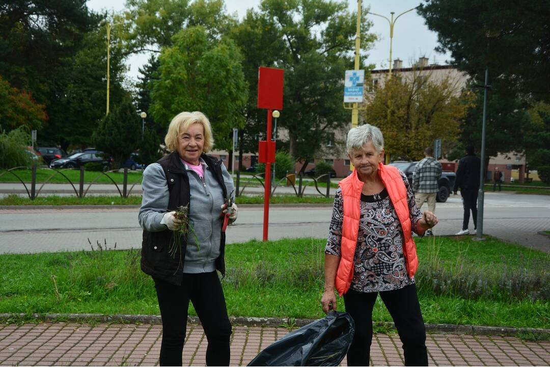 FOTO: Seniori zo Šaci zveľadili námestie, foto 9