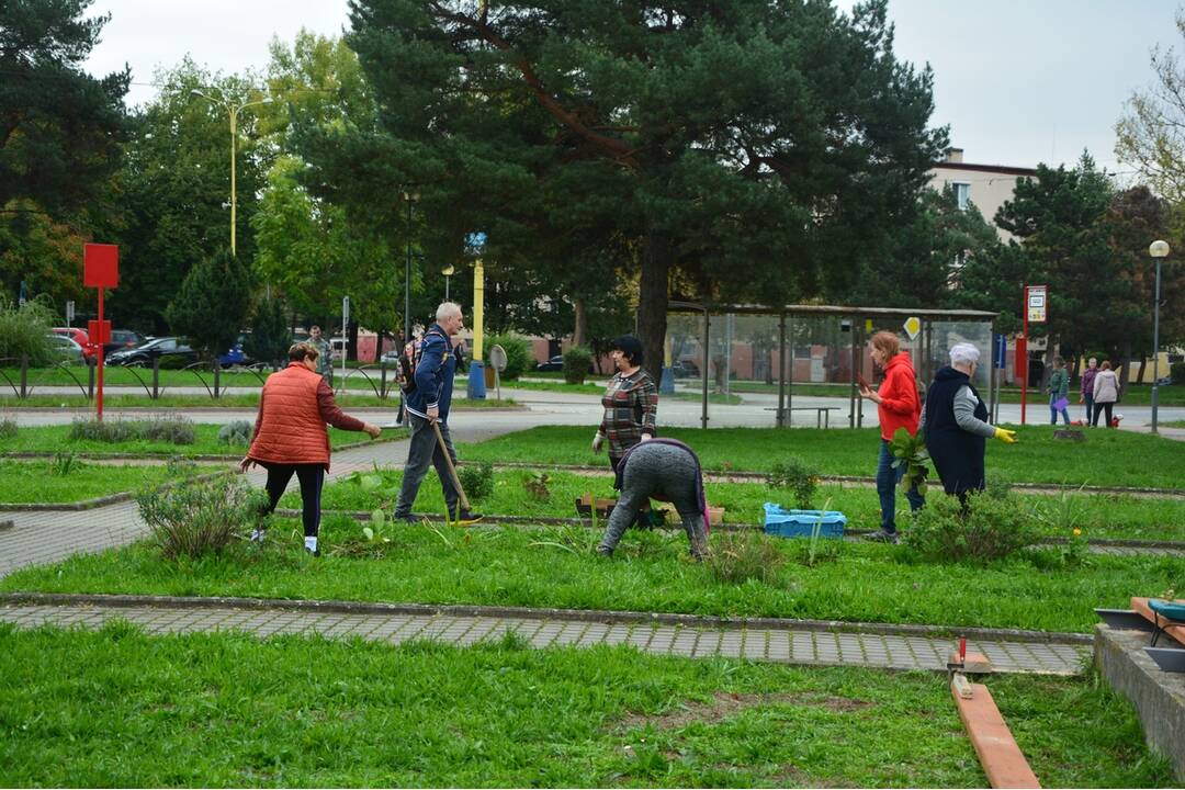 FOTO: Seniori zo Šaci zveľadili námestie, foto 2