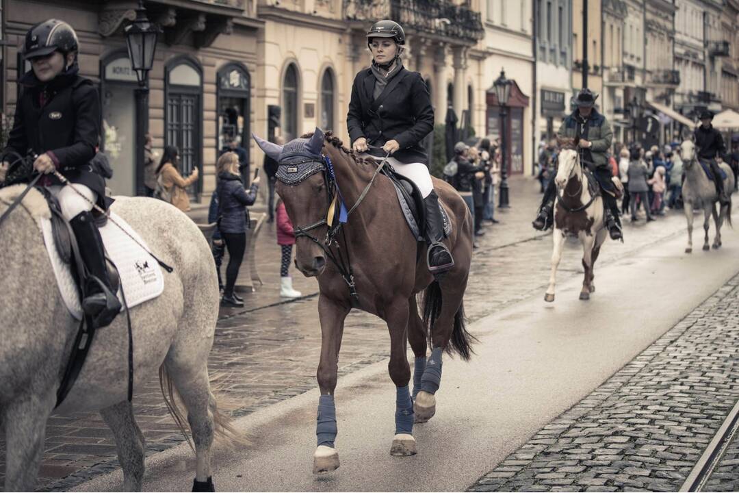 FOTO: Košicami viedol sprievod koní. Konala sa tradičná Hubertova jazda, foto 7