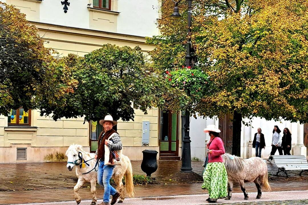 FOTO: Košicami viedol sprievod koní. Konala sa tradičná Hubertova jazda, foto 43