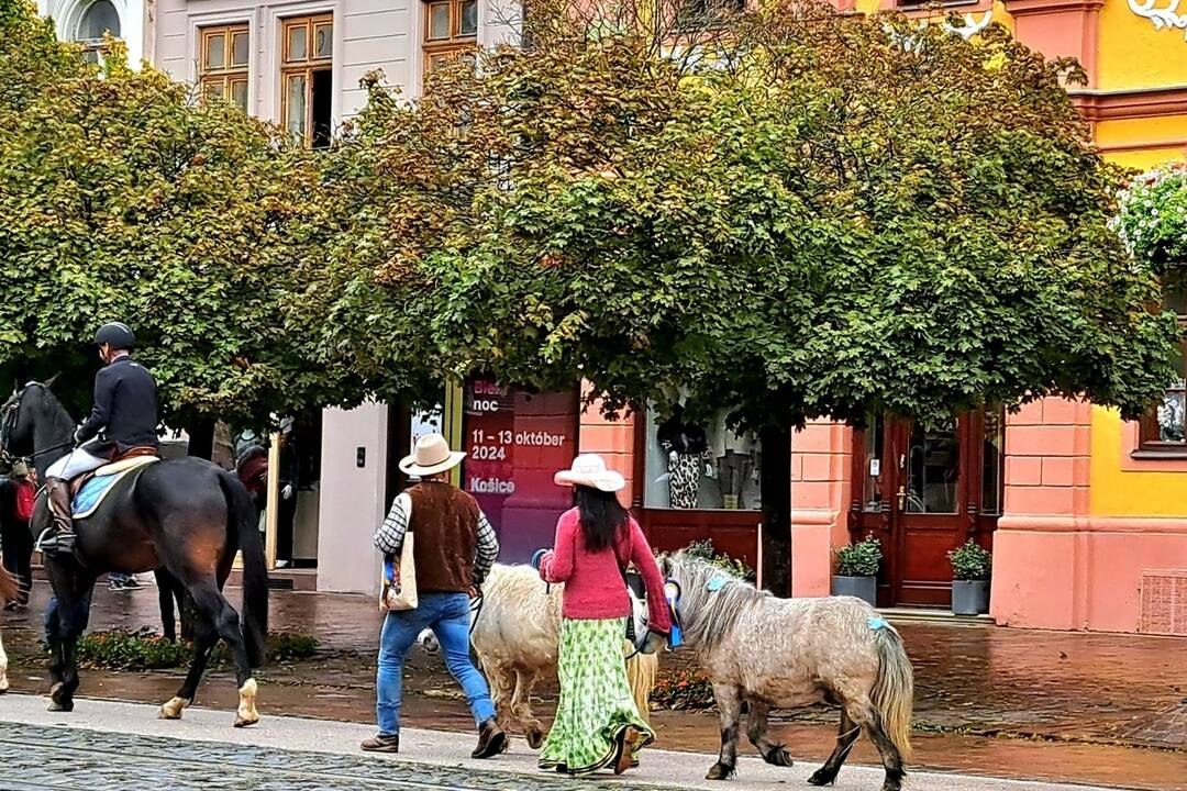 FOTO: Košicami viedol sprievod koní. Konala sa tradičná Hubertova jazda, foto 11