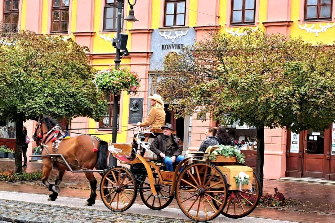 FOTO: Košicami viedol sprievod koní. Konala sa tradičná Hubertova jazda, foto 8