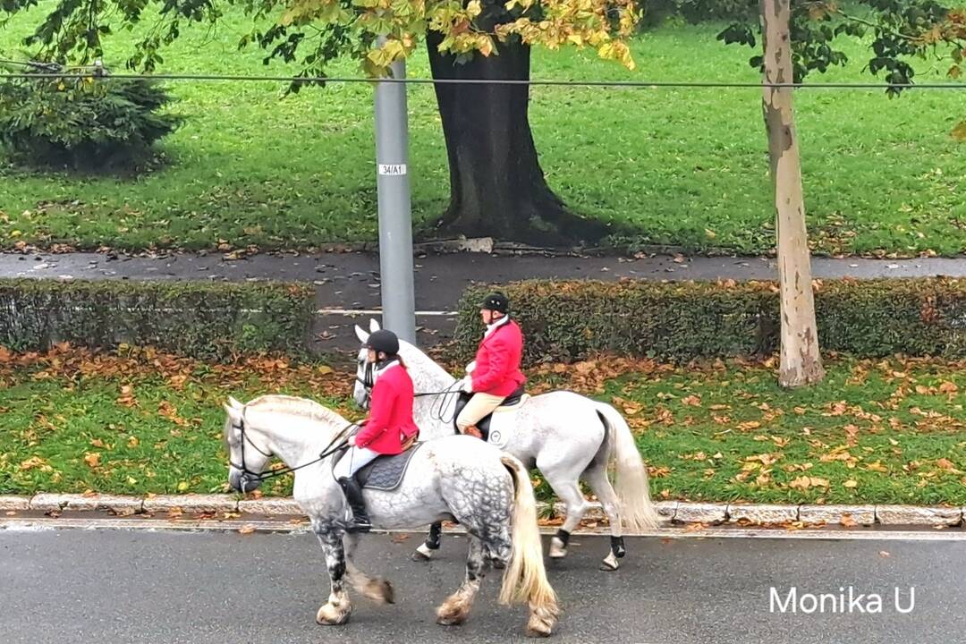 FOTO: Košicami viedol sprievod koní. Konala sa tradičná Hubertova jazda, foto 46