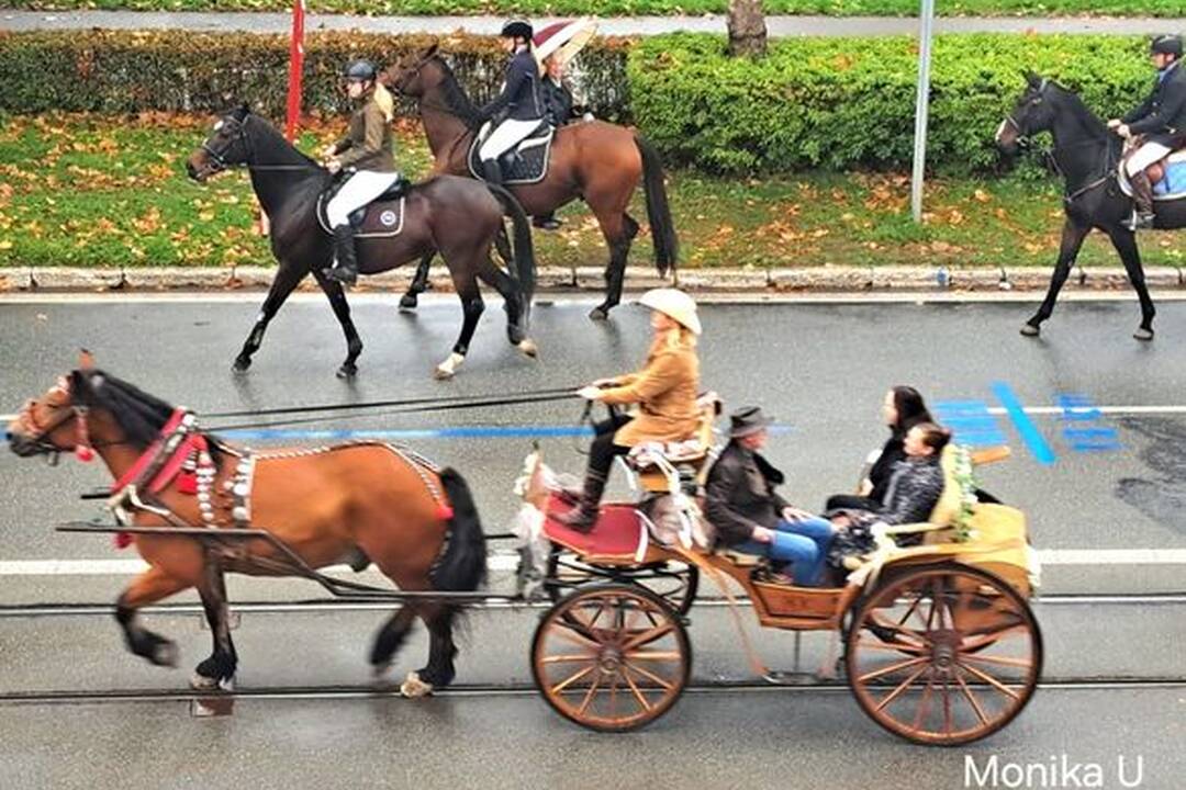 FOTO: Košicami viedol sprievod koní. Konala sa tradičná Hubertova jazda, foto 48