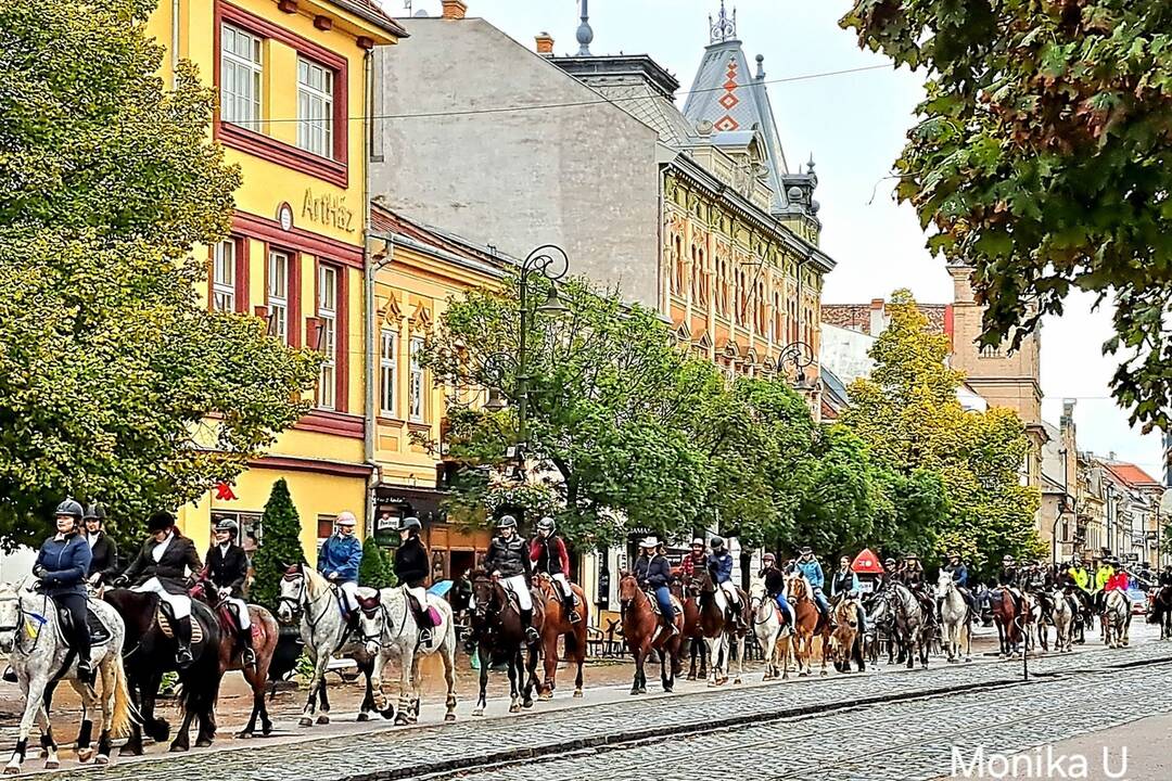 FOTO: Košicami viedol sprievod koní. Konala sa tradičná Hubertova jazda, foto 25