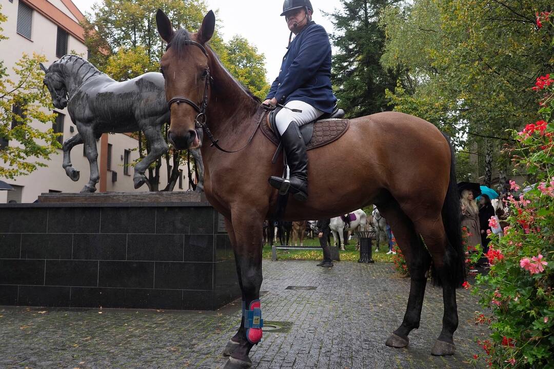 FOTO: Košicami viedol sprievod koní. Konala sa tradičná Hubertova jazda, foto 57