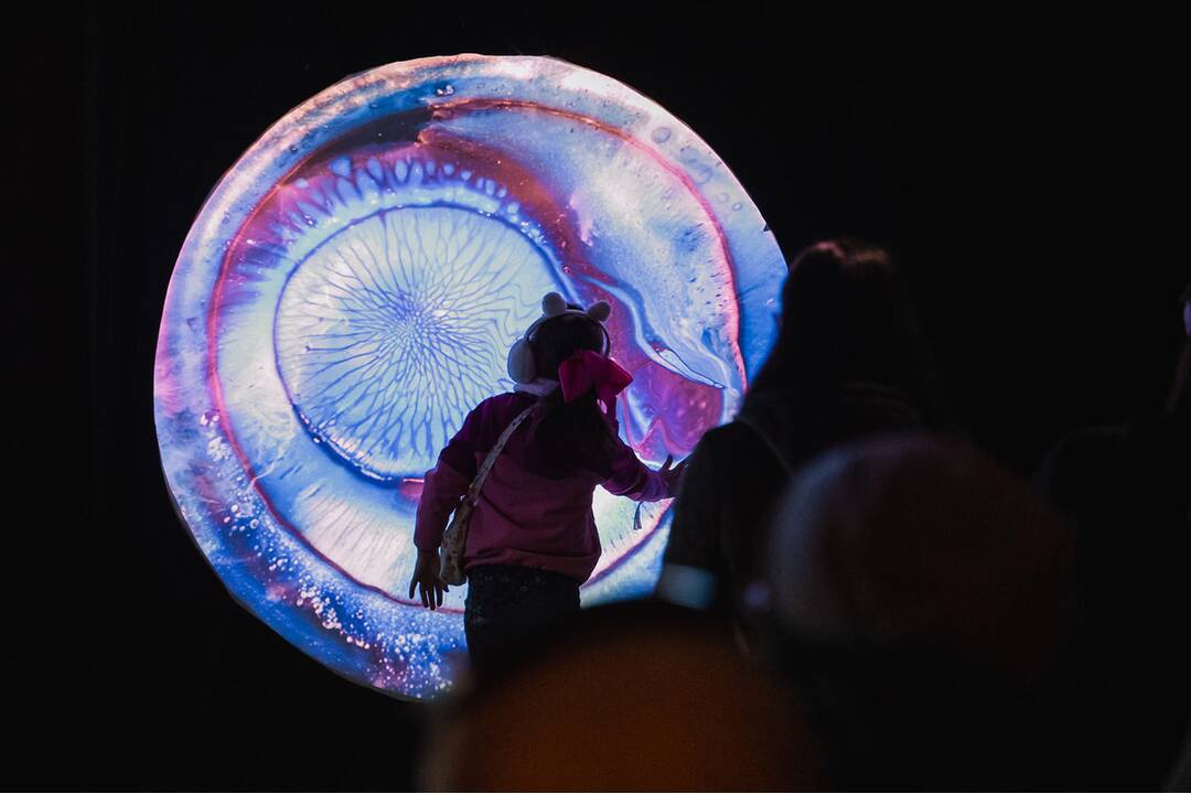 FOTO: Najväčší festival súčasného umenia opäť v Košiciach. Čo si pre návštevníkov tento rok pripravila Biela noc?, foto 5