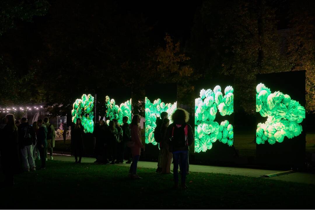 FOTO: Najväčší festival súčasného umenia opäť v Košiciach. Čo si pre návštevníkov tento rok pripravila Biela noc?, foto 12