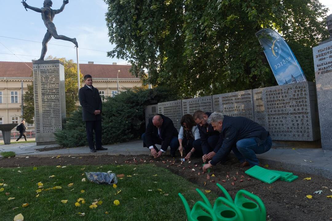 FOTO: Košice sa na jar premenia na Holandsko, foto 3