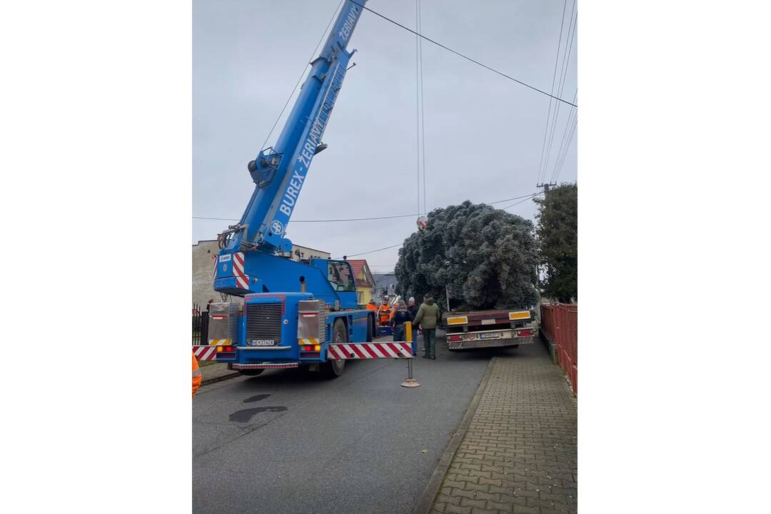 FOTO: Na námestí v Michalovciach sa už týči vianočný stromček, foto 4