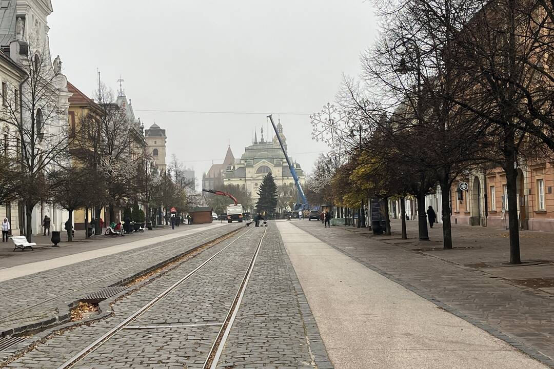 Vianočný stromček dorazil na Hlavnú, foto 2