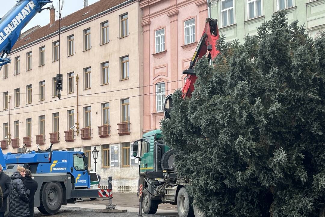 Vianočný stromček dorazil na Hlavnú, foto 7