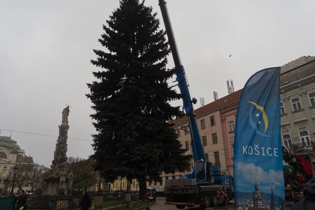 Vianočný stromček dorazil na Hlavnú, foto 14