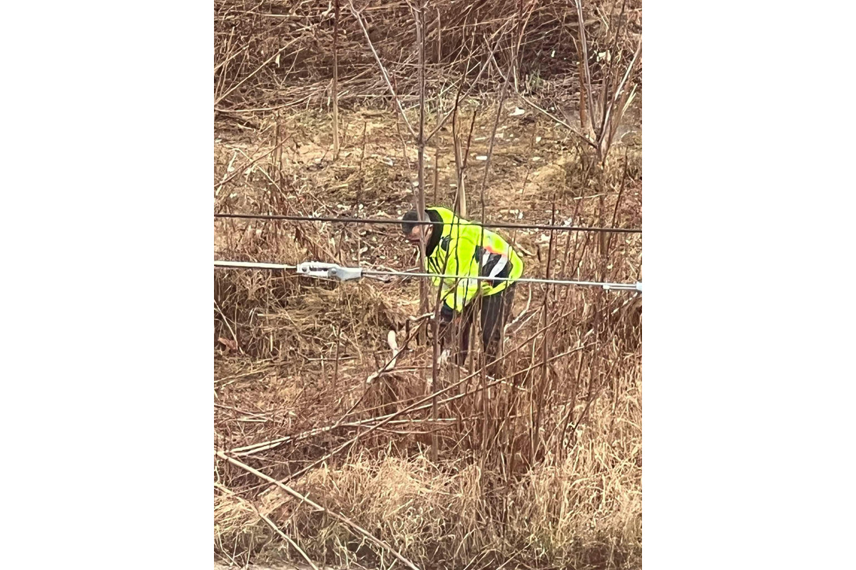 FOTO: Vedenie košickej mestskej časti Staré mesto upratuje súkromný pozemok, foto 4