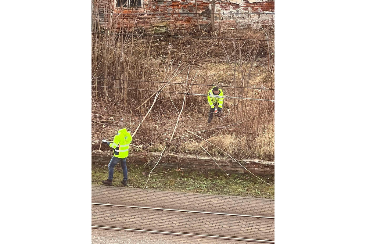 FOTO: Vedenie košickej mestskej časti Staré mesto upratuje súkromný pozemok, foto 5