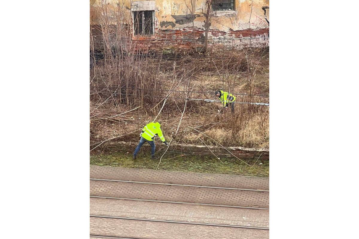 FOTO: Vedenie košickej mestskej časti Staré mesto upratuje súkromný pozemok, foto 6